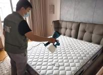 上海除甲醛公司推薦